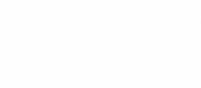 gallery/logo-optica-viamonte
